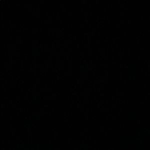 Meet your Posher, Timothy